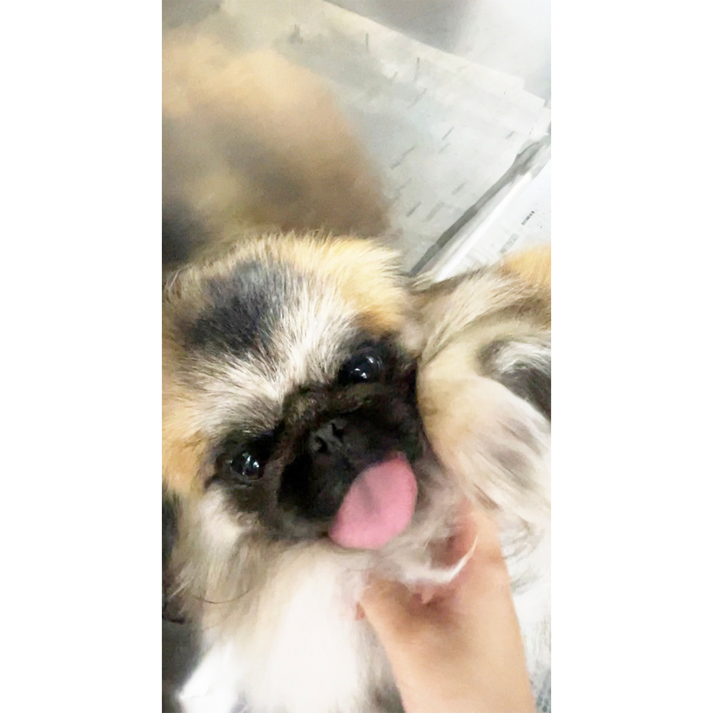 Ｗａｎ活で生徒が撮影した写真♪②